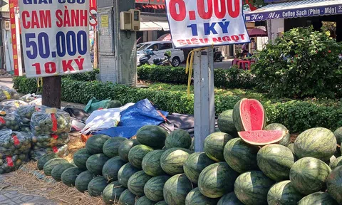 Nhiều nông sản rớt giá còn vài nghìn đồng một kg