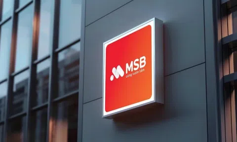 Vi phạm hợp đồng tín dụng, An Phước bị thu giữ tài sản bảo đảm