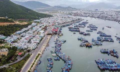 Khánh Hòa: Thủy sản trở thành ngành xuất khẩu chủ lực nhờ nuôi biển công nghệ cao