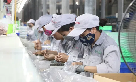 Khủng hoảng logistics lan rộng: Nông sản Việt giảm giá tới 30% để ‘giải cứu’ hàng tồn