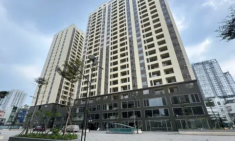 Hơn 12.000 hồ sơ 'tranh mua' 700 suất nhà xã hội Lý Thường Kiệt