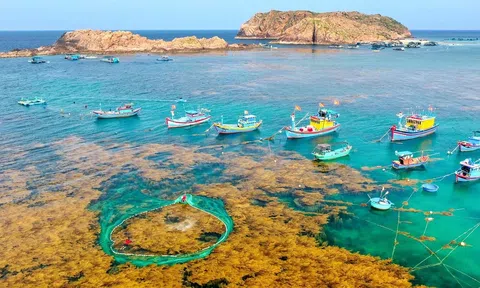 Gia Lai phát triển du lịch đa trải nghiệm: Rừng - biển đảo – cao nguyên