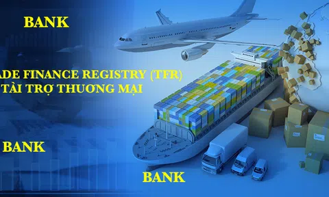 Xây hạ tầng dữ liệu về tài trợ thương mại: Doanh nghiệp Việt có cơ hội tiếp cận 100 tỷ USD