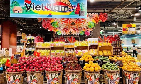 Đến 2030, hình thành mạng lưới phân phối hàng Việt toàn cầu do người Việt làm chủ