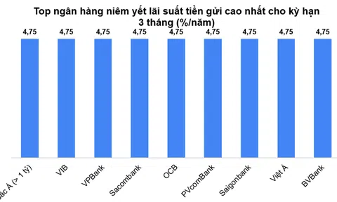 Nhiều ngân hàng có lãi suất tiết kiệm kỳ hạn 3 tháng chạm trần