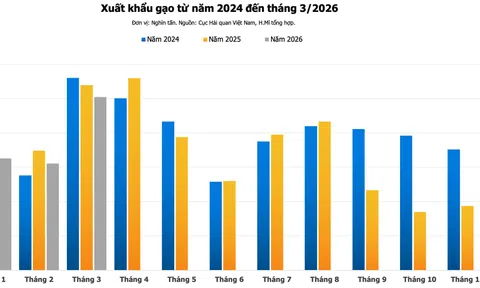 Xuất khẩu gạo tiếp tục suy giảm, 2026 tiếp tục là năm thách thức với gạo Việt?