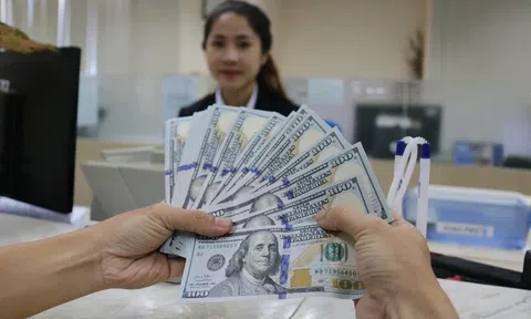 Kiều hối chuyển về TP.HCM bất ngờ đi xuống