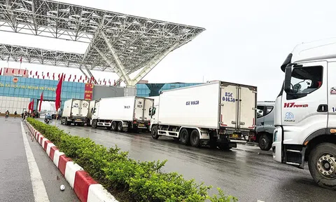 Kết nối chiến lược hai nền kinh tế Việt - Trung