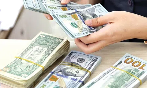 Quản lý ngoại hối với đầu tư nước ngoài vào Việt Nam: Góp vốn trước, cấp phép sau