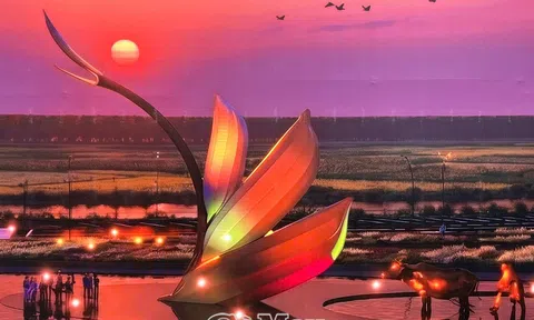 Ra mắt Bảo tàng Lúa nước Cà Mau và phương án biểu tượng “ba hạt lúa”