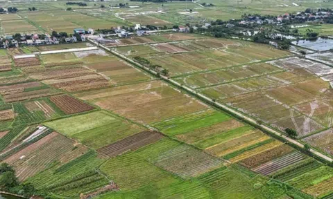 Đất nông nghiệp có nhà ở được bồi thường theo giá nào?