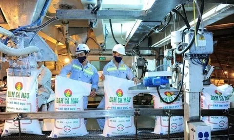 Chuyên gia thuế: Thuế xuất khẩu phân bón của Trung Quốc, Malaysia đã về 0%, Việt Nam vẫn ghì chân ở mức 5%