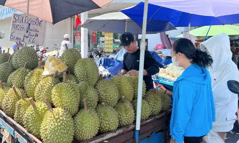 Vì sao giá sầu riêng chỗ đắt đỏ, nơi lao dốc?