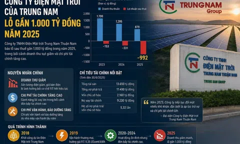 Công ty điện mặt trời của Trung Nam lỗ gần 1.000 tỷ đồng