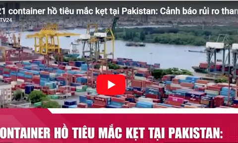 21 container hồ tiêu mắc kẹt tại Pakistan: Cảnh báo rủi ro thanh toán trong xuất khẩu