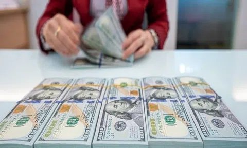 TS. Nguyễn Trí Hiếu: Nhập khẩu vàng lúc này có thể khiến áp lực tỷ giá thêm căng thẳng