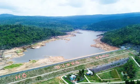 Chuyển đổi khoảng 300ha rừng đặc dụng làm dự án đón APEC 2027 ở Phú Quốc và sân bay Thổ Chu