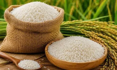 Quốc gia châu Á chính thức vượt Trung Quốc, trở thành cường quốc gạo số 1 thế giới