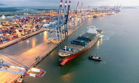 TPHCM cho liên danh Geleximco thuê gần 103ha làm cảng tổng hợp gần 2 tỷ USD