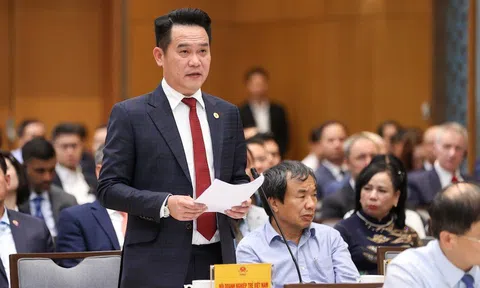 Đặng Hồng Anh: Doanh nghiệp thuê đất tại Khánh Hòa phải trả tiền thuê gấp 35 lần so với trước