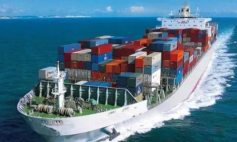 Hoạt động kinh doanh chính mang về chưa tới trăm triệu, MHC rót hơn 200 tỷ vào loạt cổ phiếu 'họ' Gelex
