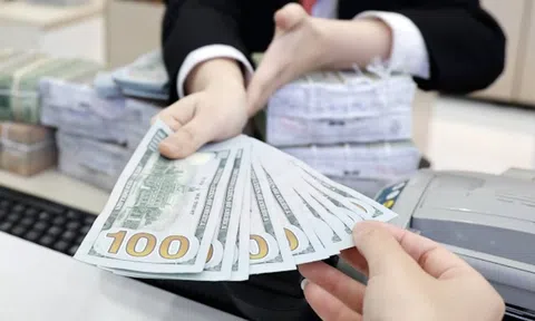 Nhà đầu tư nước ngoài có xu hướng mua USD để chuyển lợi nhuận về nước, 7 tháng đầu năm mua gần 3,8 tỷ USD