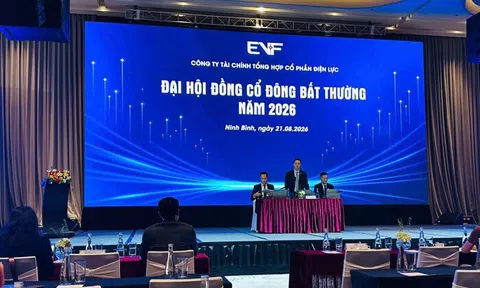 Cựu Chủ tịch Eximbank vào HĐQT của  EVN Finance