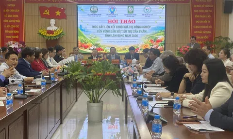 Liên minh HTX Lâm Đồng: Tổ chức lại sản xuất chuỗi, xây dựng thương hiệu nông sản địa phương