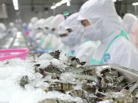 Doanh nghiệp thủy sản lo thiệt hại hàng nghìn tỷ đồng