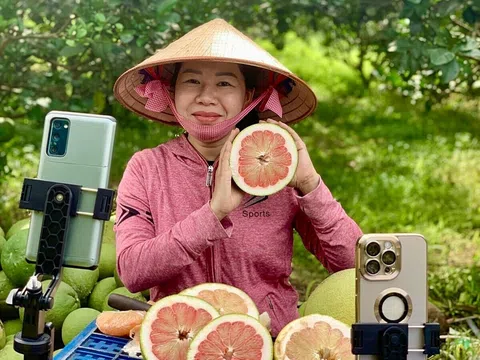 Nhiều thách thức cho HTX livestream bán hàng thực phẩm tươi sống