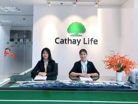 Phát hiện sai phạm bán bảo hiểm qua ngân hàng tại Mirae Asset Prévoir và Cathay Việt Nam