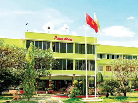 Cú 'hụt chân' của Nhựa Rạng Đông