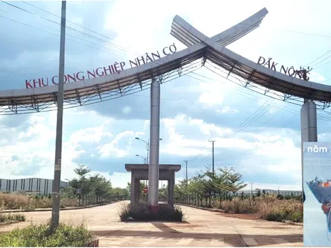 Đại gia Trần Hồng Quân và ván cược tỷ đô tại Đắk Nông