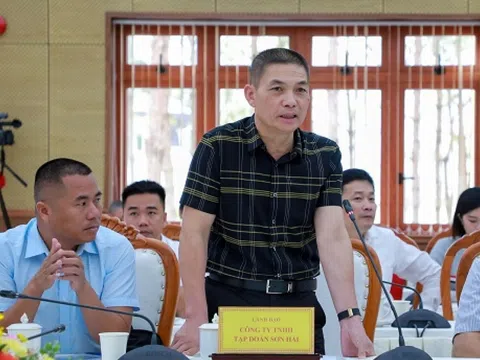 CEO Tập đoàn Sơn Hải 'hiến kế' để giúp doanh nghiệp thực hiện dự án thuận lợi hơn