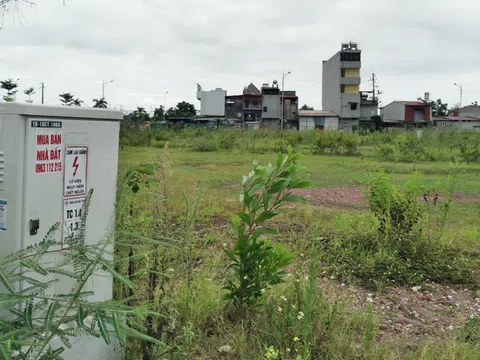 Đất nền phân lô 'sốt' trở lại, giới đầu cơ kỳ vọng 'ăn bằng lần'