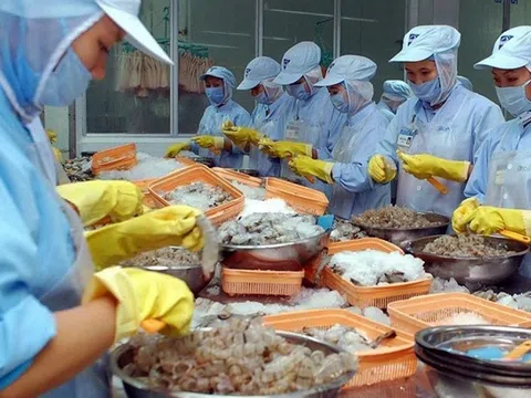 VASEP đề xuất giảm thuế nhập khẩu về 0% đối với mặt hàng thủy sản từ Mỹ