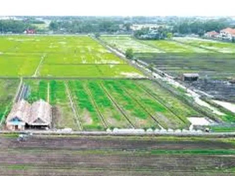 Tiếp tục gia hạn tiền thuê đất năm 2025