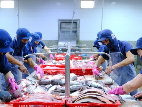 Doanh nghiệp nhận tin vui cho hàng Việt Nam đang trên đường đến Mỹ