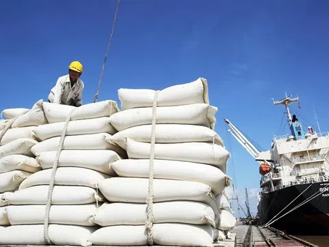 Giá gạo xuất khẩu tăng, doanh nghiệp chưa vội chốt đơn hàng