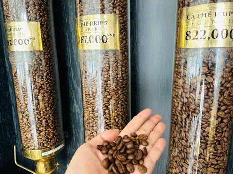 Giá cà phê giảm sốc bởi đòn thuế quan đối ứng từ Mỹ