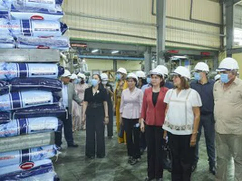 Cuba sẽ chuyển giao công nghệ vaccine cho Việt Nam, mời gọi Bắc Ninh đầu tư vào đặc khu quy mô 465km2