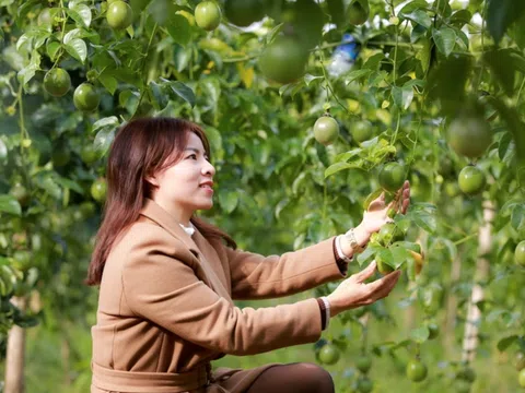 Đề xuất Mỹ miễn trừ thuế thủy sản, cà phê, rau quả Việt Nam