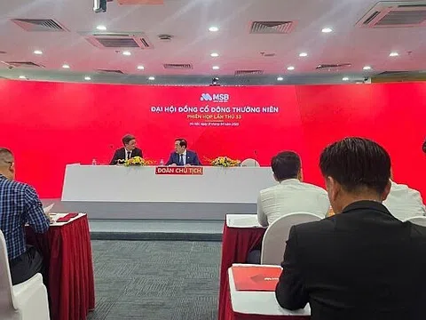 ĐHĐCĐ MSB: Mục tiêu lãi 16%, chia cổ tức 20%, thoái vốn TNEX Finance