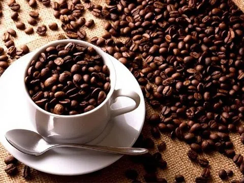 32.300 tấn 'vàng nâu' Việt Nam được Mỹ chốt đơn trong 3 tháng đầu năm