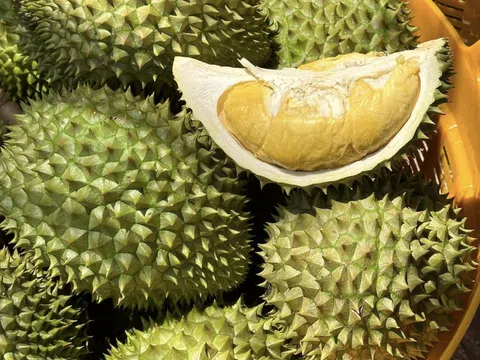 Sầu riêng Việt bị Thái Lan vượt mặt tại Trung Quốc, thêm mối nguy mới từ Lào