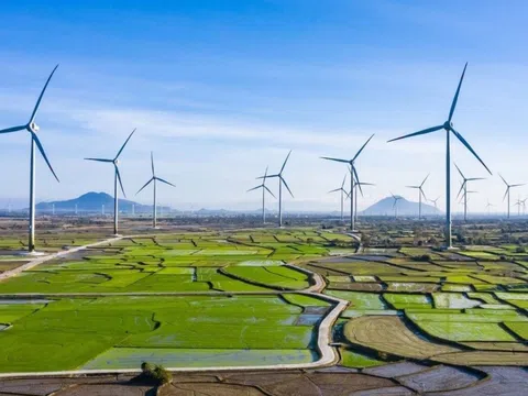 Hoa Kỳ muốn rót vốn đầu tư vào năng lượng điện gió và công nghệ tại Bình Thuận