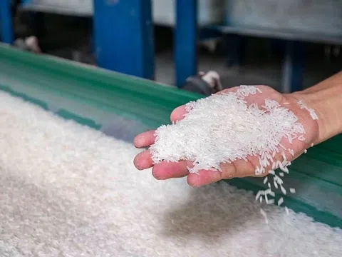 Thái Lan rơi khỏi vị trí số 2, Việt Nam bứt phá trên bản đồ gạo toàn cầu