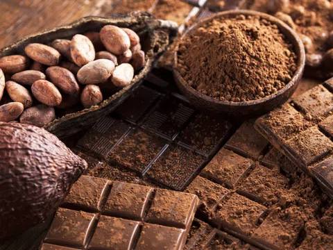 Người tiêu dùng Việt sẽ được thưởng thức socola chất lượng cao từ chuyên gia Bỉ