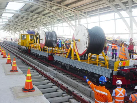 CADIVI: 50 năm góp sức vững mạch dẫn, sáng non sông