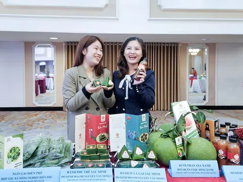 Nông sản Khánh Hòa: Hành trình đạt chuẩn OCOP quốc gia, chinh phục người tiêu dùng